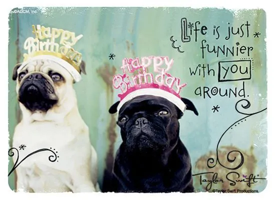 HAPPY BIRTHDAY PUG | Happy Birthday Cute & Funny quotes ... HAPPY BIRTHDAY PUG | Happy Birthday Cute & Funny quotes ...