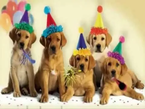 HAPPY BIRTHDAY - YouTube