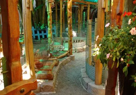 Happy Park: Salón de fiestas infantiles - Atracciones Jungla Happy Park: Salón de fiestas infantiles - Atracciones Jungla