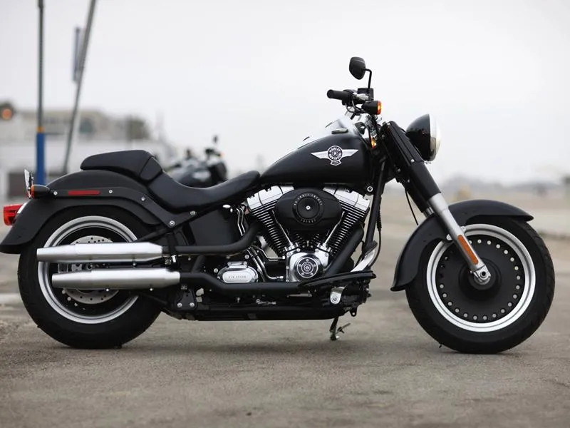 Harley-Davidson 2010 | excalibur
