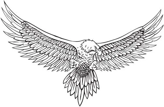 Harley davidson eagle wings Free vector for free download (about 1 ... Harley davidson eagle wings Free vector for free download (about 1 ...