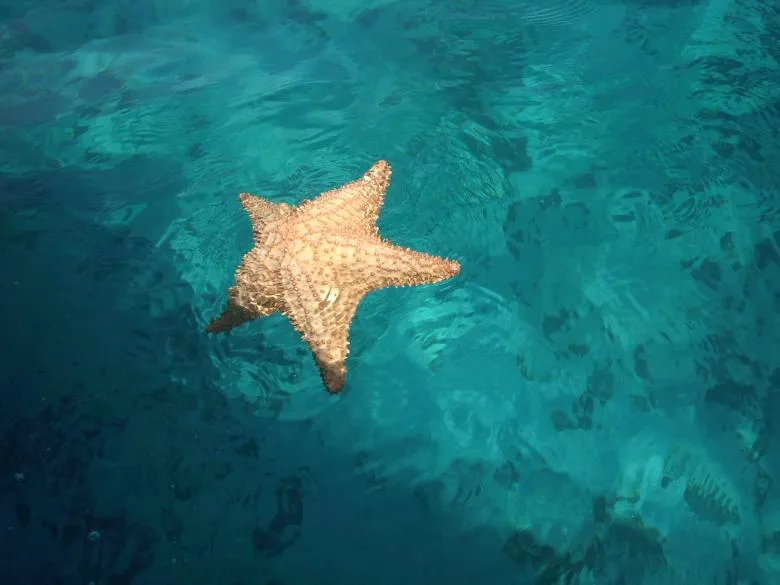 Harmony & Relax: mayo 2010 Harmony & Relax: mayo 2010