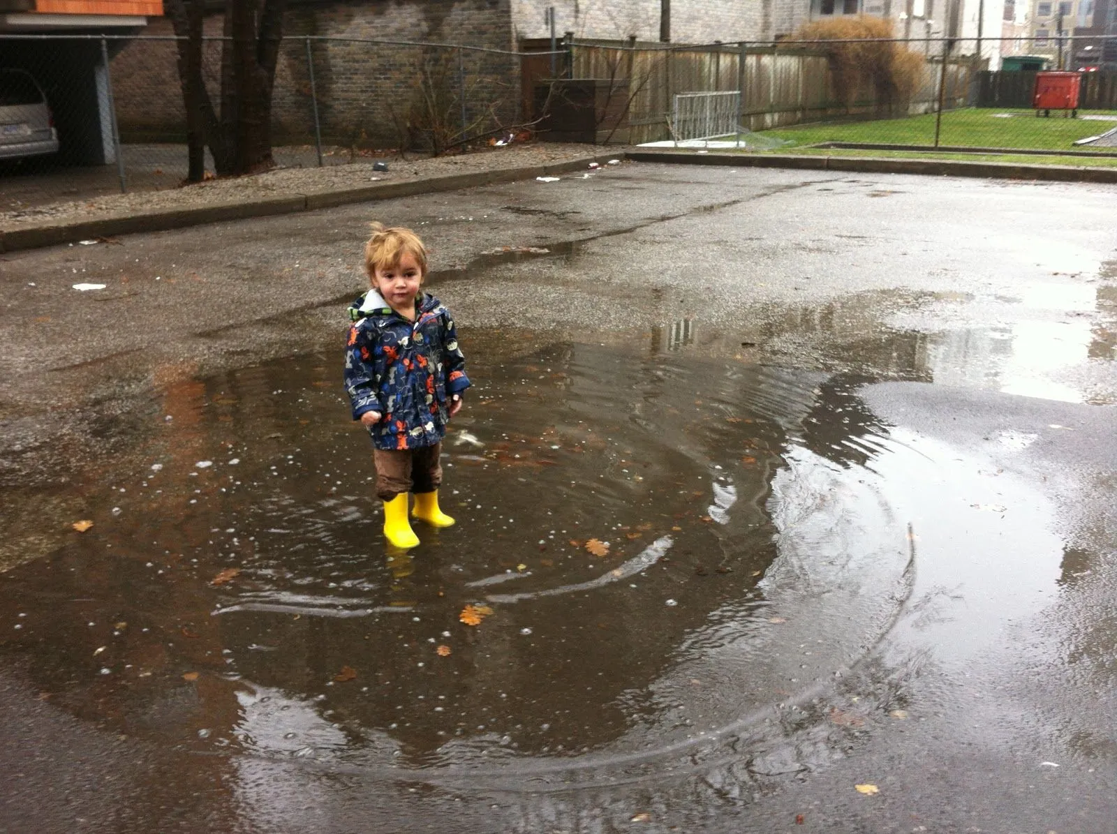 Harvest Kitchen Sisters: Puddle Jumping in January, oh and lamb... Harvest Kitchen Sisters: Puddle Jumping in January, oh and lamb...