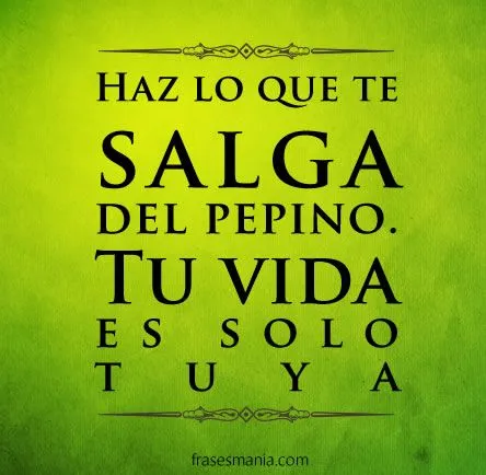 Haz lo que te salga del pepino. Tu vida es .... Frases. Haz lo que te salga del pepino. Tu vida es .... Frases.