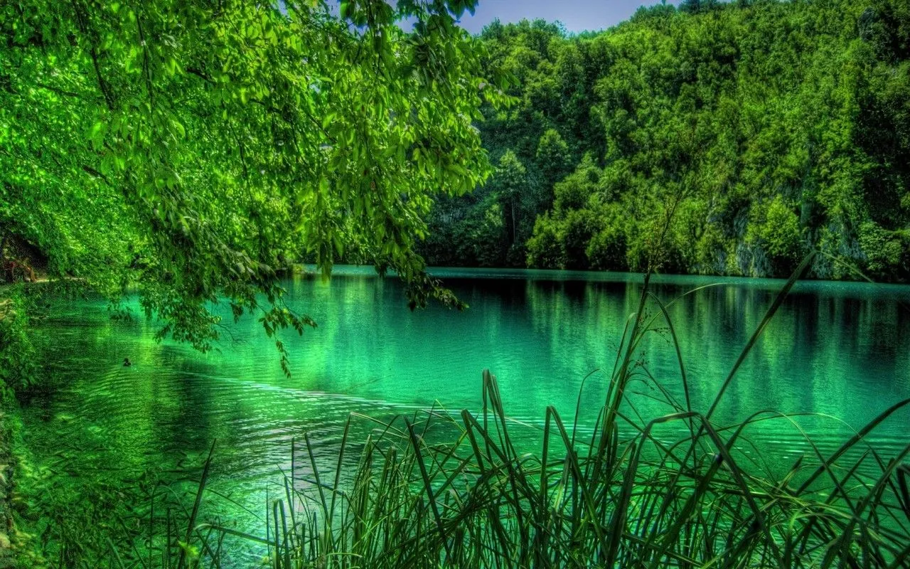 EL RINCON DE MIS AFICIONES: ¡¡EL SECRETO DE LA FELICIDAD!! EL RINCON DE MIS AFICIONES: ¡¡EL SECRETO DE LA FELICIDAD!!