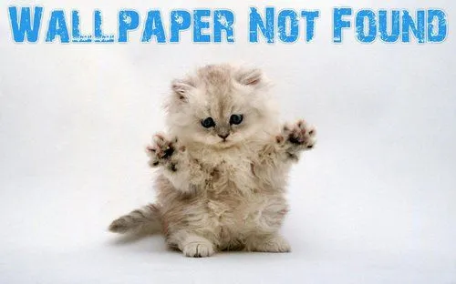 HD Wallpapers --> Graciosos, chistosos, funny HD Wallpapers --> Graciosos, chistosos, funny
