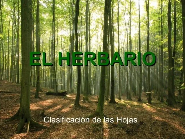 El herbario