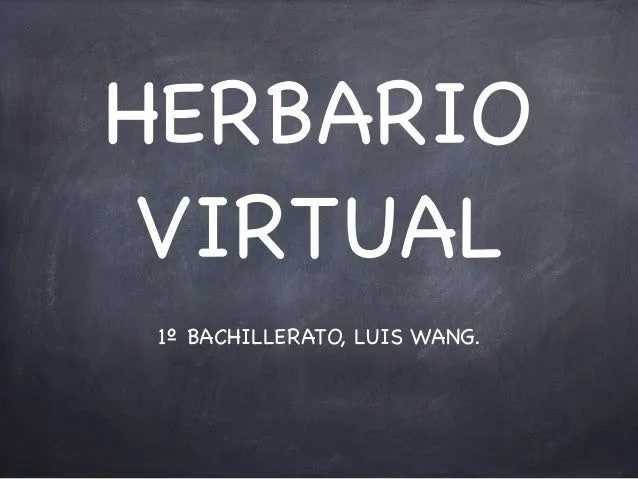 Herbario finalfinal