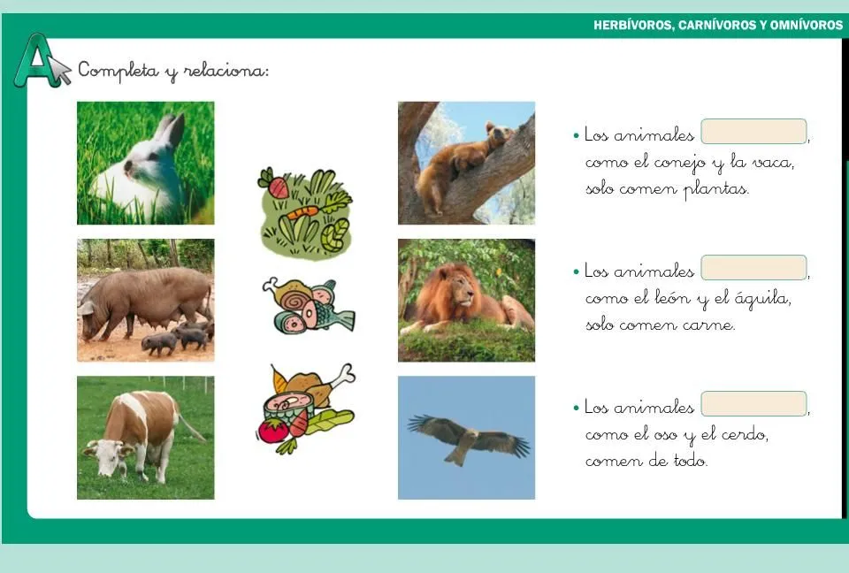 Herbívoros, carnívoros y omnívoros - Didactalia: material educativo Herbívoros, carnívoros y omnívoros - Didactalia: material educativo