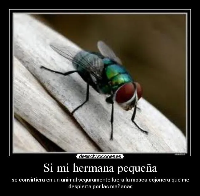 Si mi hermana pequeña | Desmotivaciones
