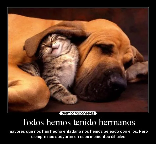 Todos hemos tenido hermanos | Desmotivaciones