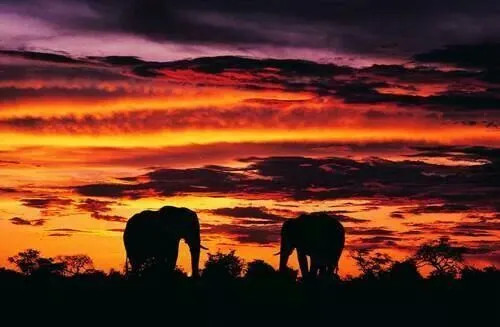 Hermoso atardecer | Paisajes y Animales | Pinterest