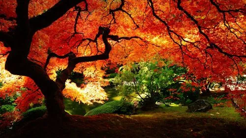 Hermoso paisaje de otoño junto al río | Banco de Imágenes