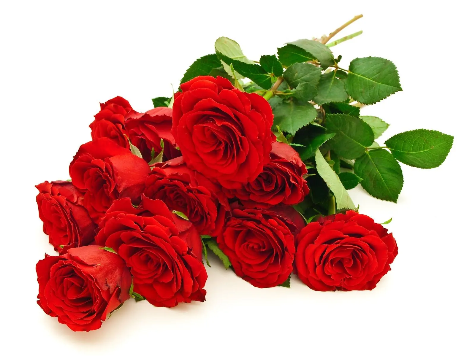 Hermoso ramo de rosas rojas – Red roses – Flowers | Imagenes para ... Hermoso ramo de rosas rojas – Red roses – Flowers | Imagenes para ...