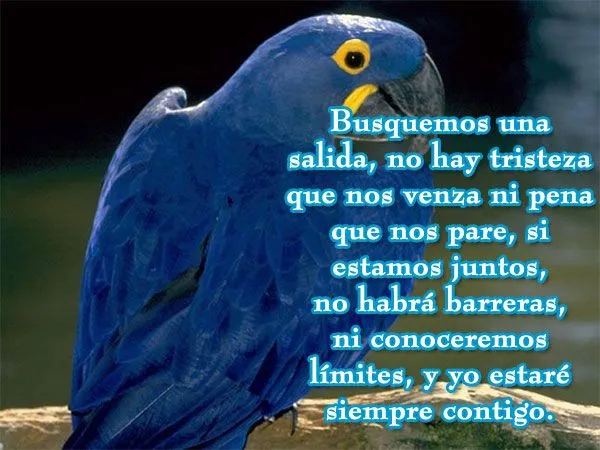 Hermosos mensajes | Comunidad catolica sebaot (sede san javier)