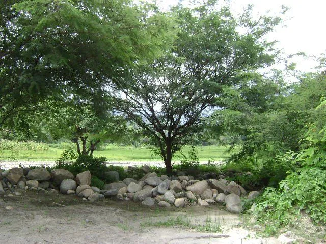 HERMOSOS PAISAJES PARA DISFRUTAR DE UN AIRE PURO Y RELAJANTE HERMOSOS PAISAJES PARA DISFRUTAR DE UN AIRE PURO Y RELAJANTE