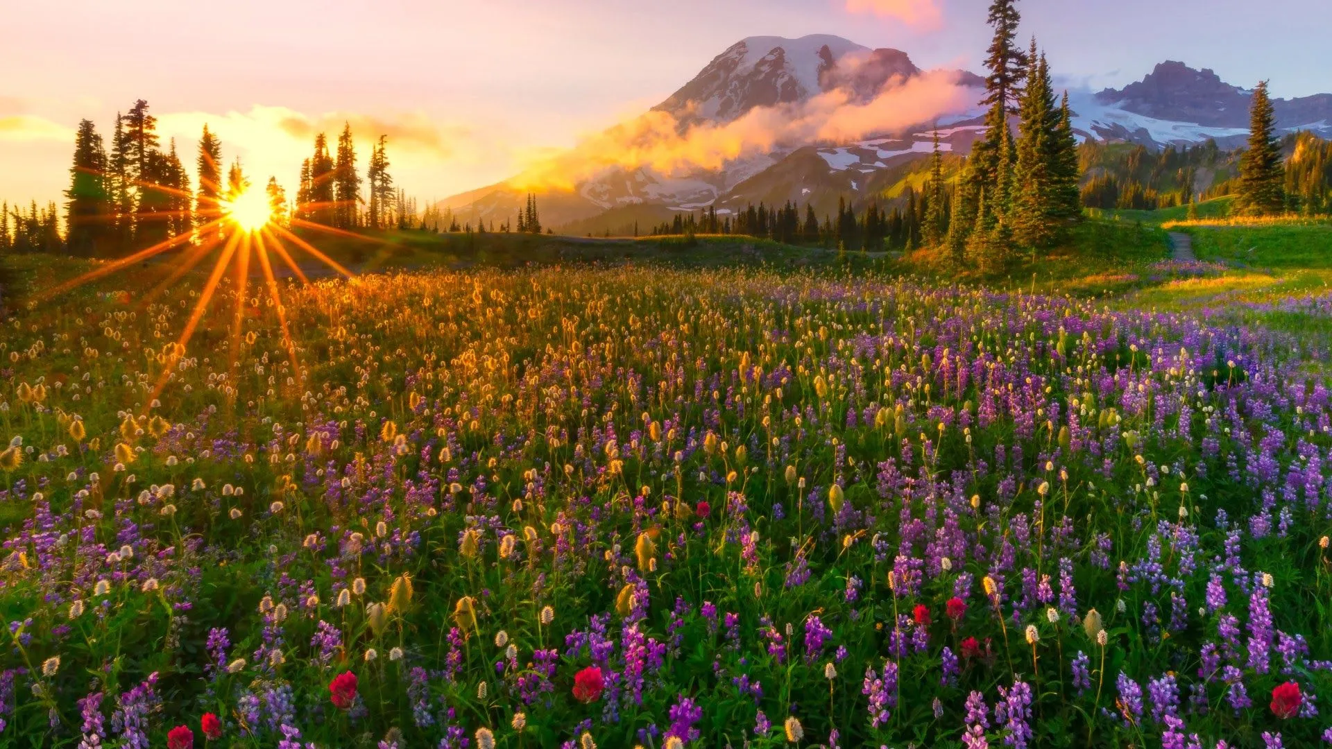Los mas hermosos paisajes naturales en hd | Fotos e Imágenes en ... Los mas hermosos paisajes naturales en hd | Fotos e Imágenes en ...