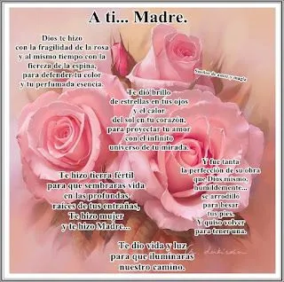 LOS MAS HERMOSOS PENSAMIENTOS, REFLEXIONES, POEMAS: TODO LO QUE ...