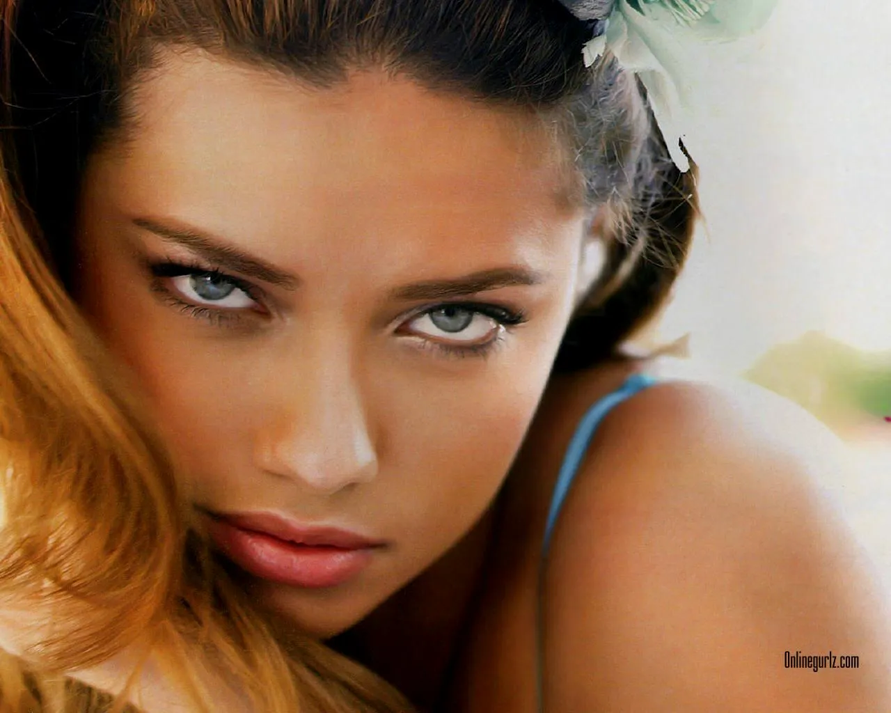 Hermosos Wallpapers de Adriana Lima HD | Banco de Imagenes Gratuitas Hermosos Wallpapers de Adriana Lima HD | Banco de Imagenes Gratuitas
