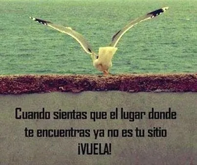 HERRAMIENTAS PARA EL ÉXITO: Frases positivas y motivadoras HERRAMIENTAS PARA EL ÉXITO: Frases positivas y motivadoras