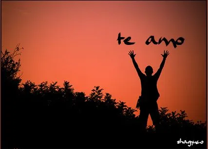 Las Herramientas del Ho'oponopono | Tu Corazón Te Guía Las Herramientas del Ho'oponopono | Tu Corazón Te Guía