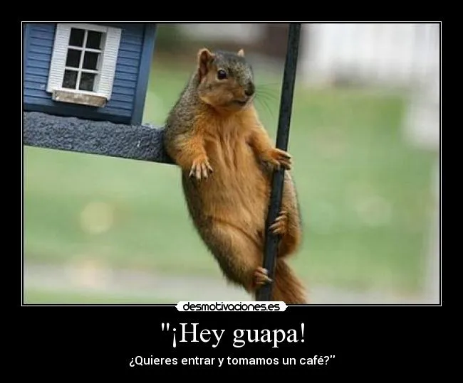 Ardillas graciosas con frases - Imagui