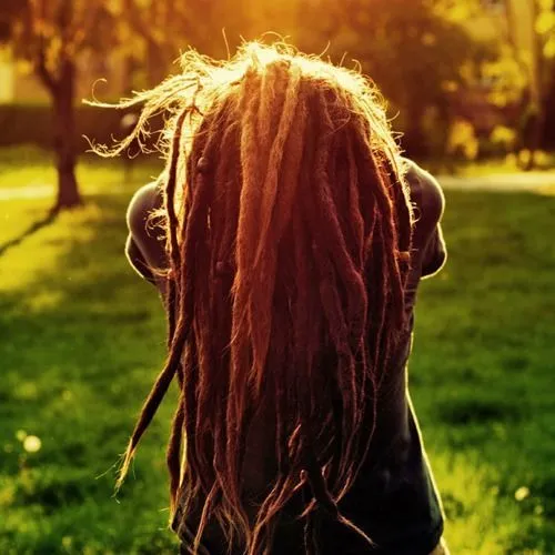 Hey natty dreadlocks, a where you come from? Hey natty dreadlocks, a where you come from?