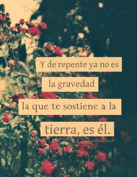Hey tu!! Te AMO (@MuereGuarra) | Twitter