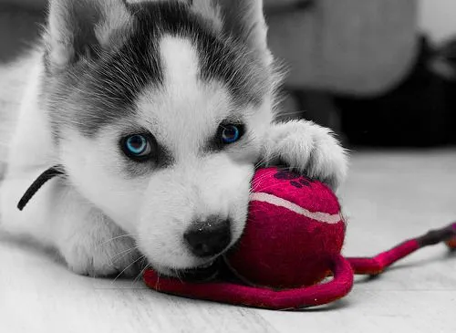 Hi ♥