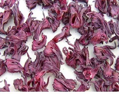 Hibiscus sabdariffa, Roselle, Flor de jamaica, Rosa de Jamaica ...
