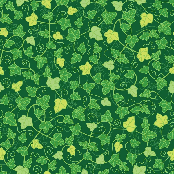 Hiedra verde plantas de fondo transparente — Vector stock ...