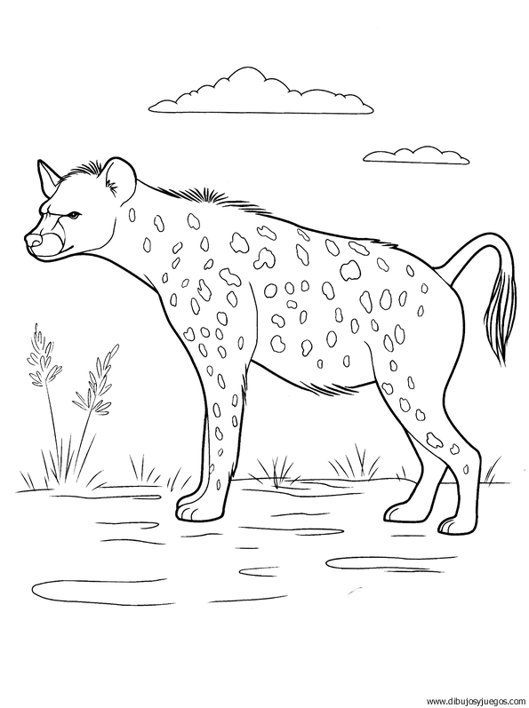 hiena-03 | Dibujos y juegos, para pintar y colorear hiena-03 | Dibujos y juegos, para pintar y colorear
