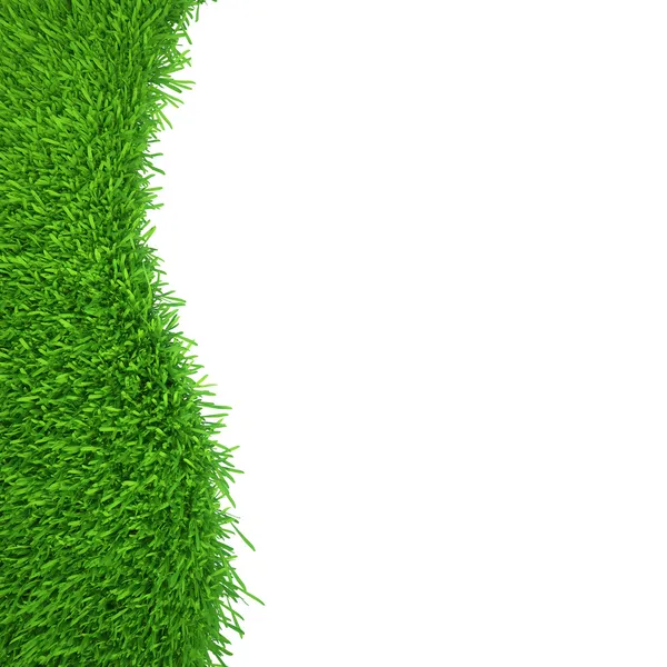 Hierba verde aislada sobre fondo blanco — Foto stock © mirexonlife ...