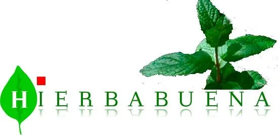 Hierbabuena, plantas, planta aromáticas, plantas medicinales ...