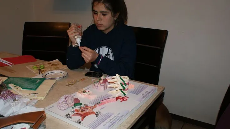 Mi hija realizando su maqueta del Sistema Nervioso. Realizada en ...