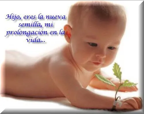 Hijo, eres la nueva semilla - TnRelaciones Hijo, eres la nueva semilla - TnRelaciones