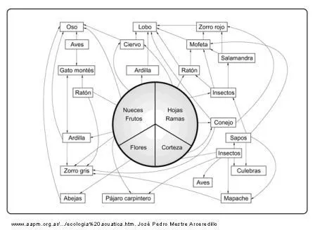 Para nuestros hijos lo mejor...: 09/