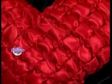 Hilda Rinaldi - Bienvenidas TV - Almohadón con forma de corazón en ... Hilda Rinaldi - Bienvenidas TV - Almohadón con forma de corazón en ...