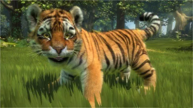 Imagenes con movimientos de animales - Imagui