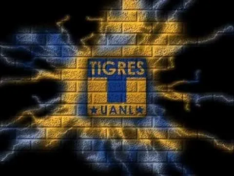Himno de Tigres UANL - YouTube