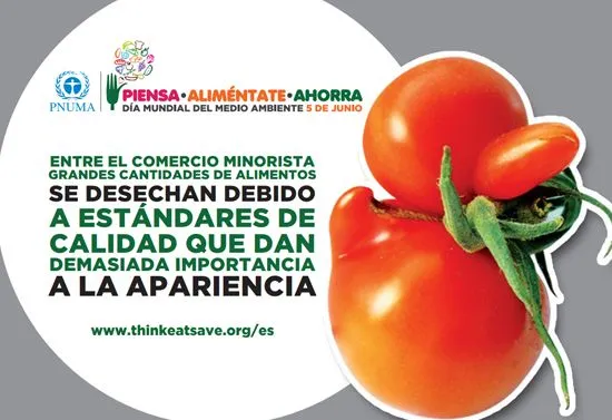 Hipermedula.org :: Día Mundial del Medio Ambiente Hipermedula.org :: Día Mundial del Medio Ambiente