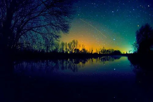 Hipopótamos y rayos de luna ♥