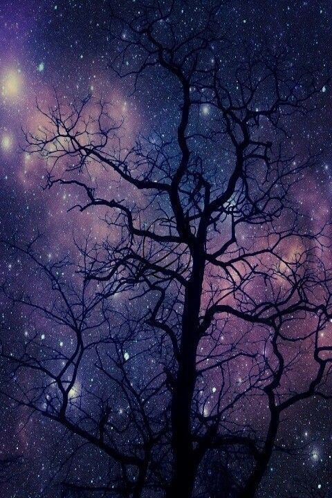 Arbol galaxia wallpaper hipster | Wallpaper | Pinterest | Hipster ...