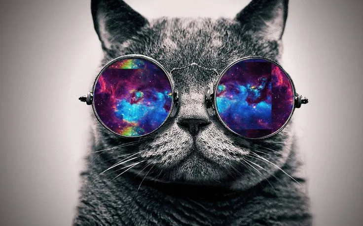 Hipster Galaxy Background | wallpaper galaxy cat by ... Hipster Galaxy Background | wallpaper galaxy cat by ...