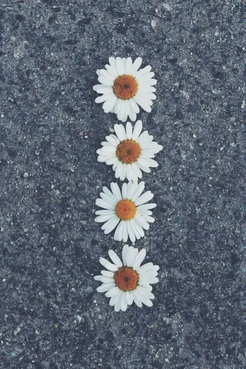 Hipster Iphone Wallpapers on Pinterest | Hipster Wallpaper ... Hipster Iphone Wallpapers on Pinterest | Hipster Wallpaper ...
