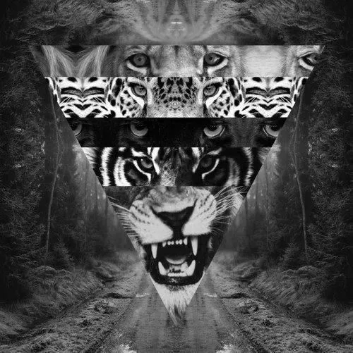 Hipster tiger triangle | Art | Pinterest