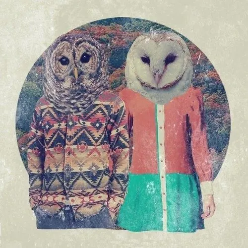 hipster #tshirt #buho #owl | | Búhos | | Pinterest | Hipster and Owl hipster #tshirt #buho #owl | | Búhos | | Pinterest | Hipster and Owl