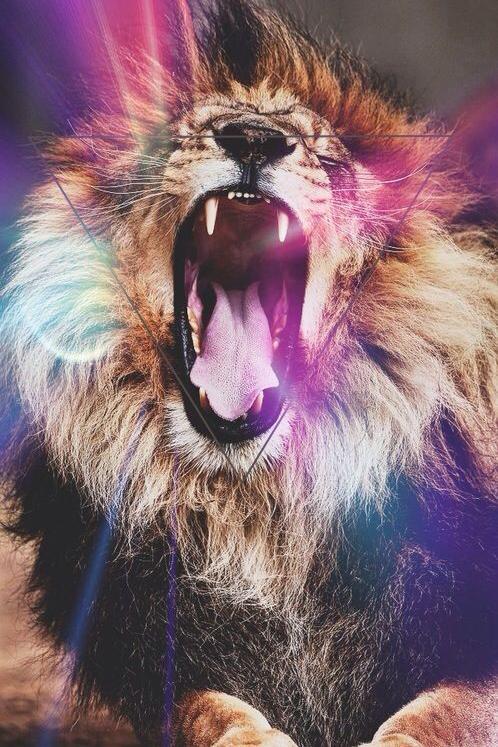 Hipster Wallpapers HD - Android Apps on Google Play