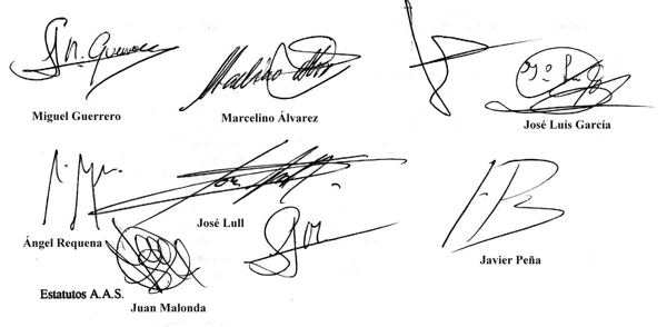 Historia de la AAS