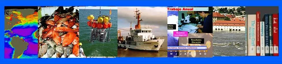 Historia A.O.U. | Asociación Oceanográfica Uruguaya